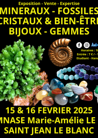 45ème Salon Minéraux Fossiles Cristaux & Bien-Être Bijoux et Gemmes