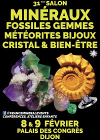 31ème Salon MinéralEvent Dijon