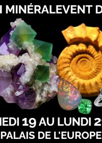 23ème Salon MinéralEvent de Menton