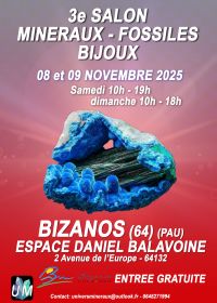Salon minéraux, fossiles, bijoux de créateur. Salon minéraux, fossiles, bijoux de créateur.