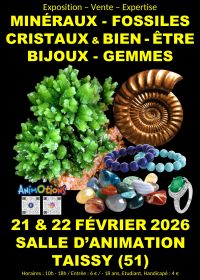 Salon Minéraux Fossiles Gemmes Météorites Cristaux