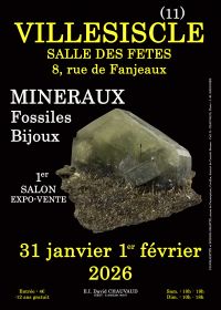 1er SALON MINERAUX FOSSILES BIJOUX