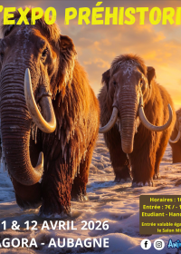 L'Expo Préhistoric