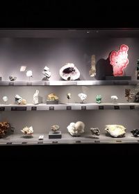 Galerie de Géologie et de Minéralogie du Jardin des Plantes à Paris Museum national histoire naturelle Galerie de Géologie et de Minéralogie du Jardin des Plantes à Paris Museum national histoire naturelle