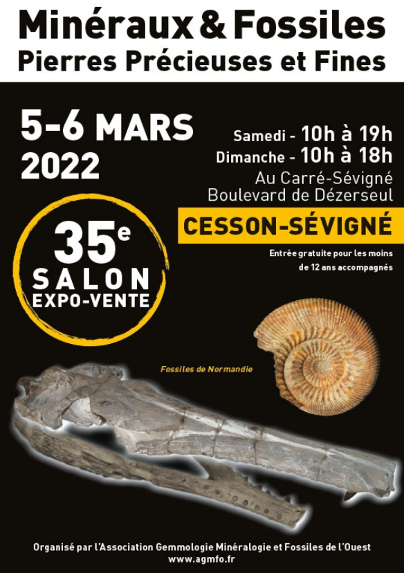 Salon exposition vente Minéraux et Fossiles AGMFO