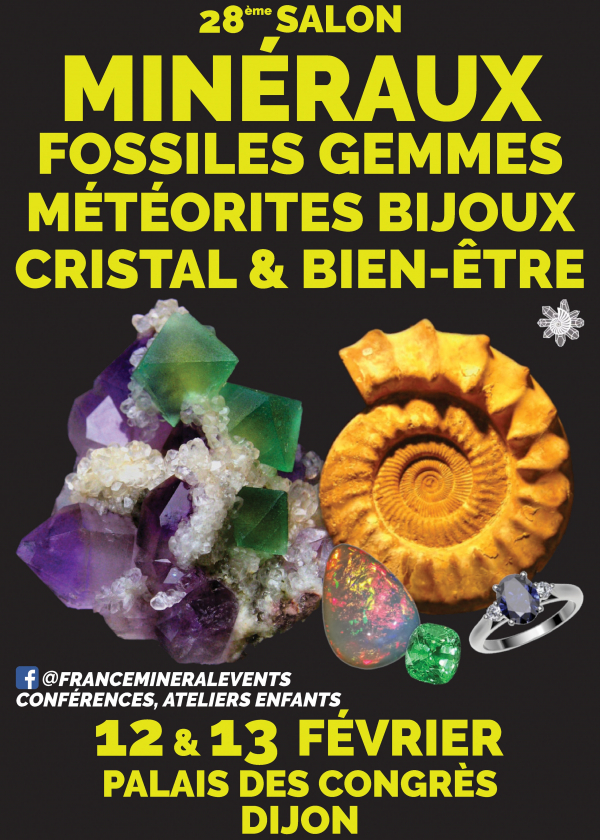 28ème Salon MineralEvent Dijon