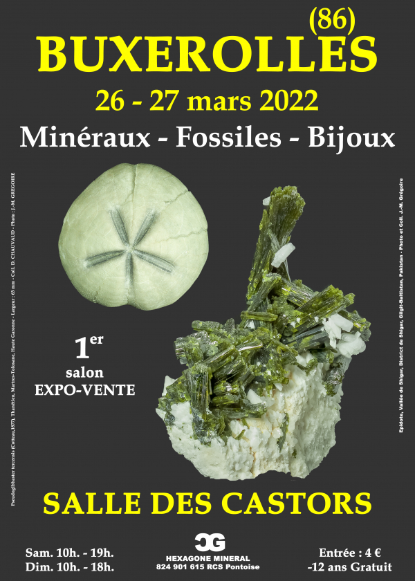 1er Salon minéraux fossiles bijoux