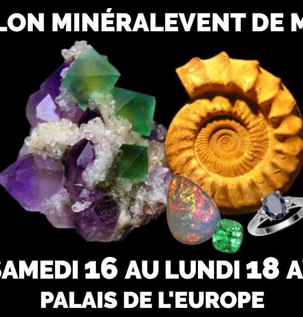 20ème Salon MinéralEvent Menton - Minéraux, Fossiles, Gemmes, Bijoux, Cristal & Bien-être