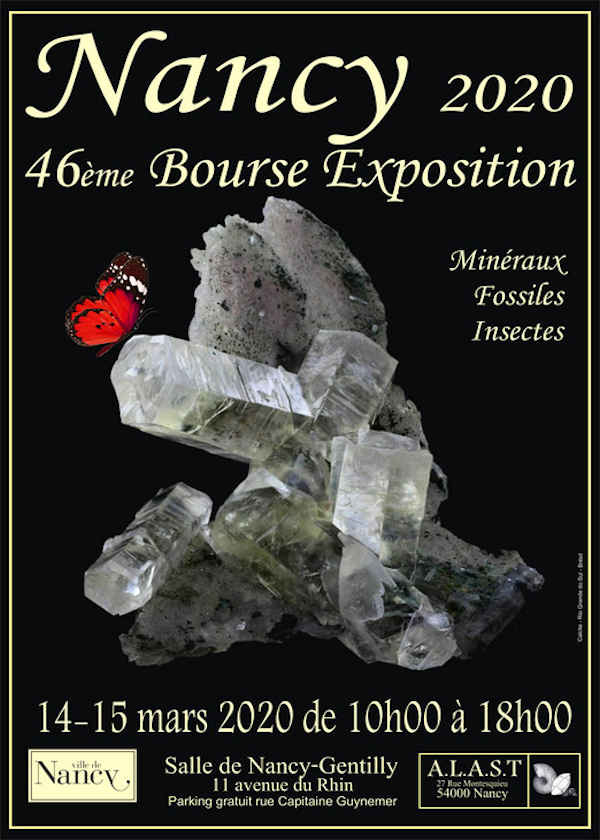 46ème bourse exposition minéraux fossiles et insectes