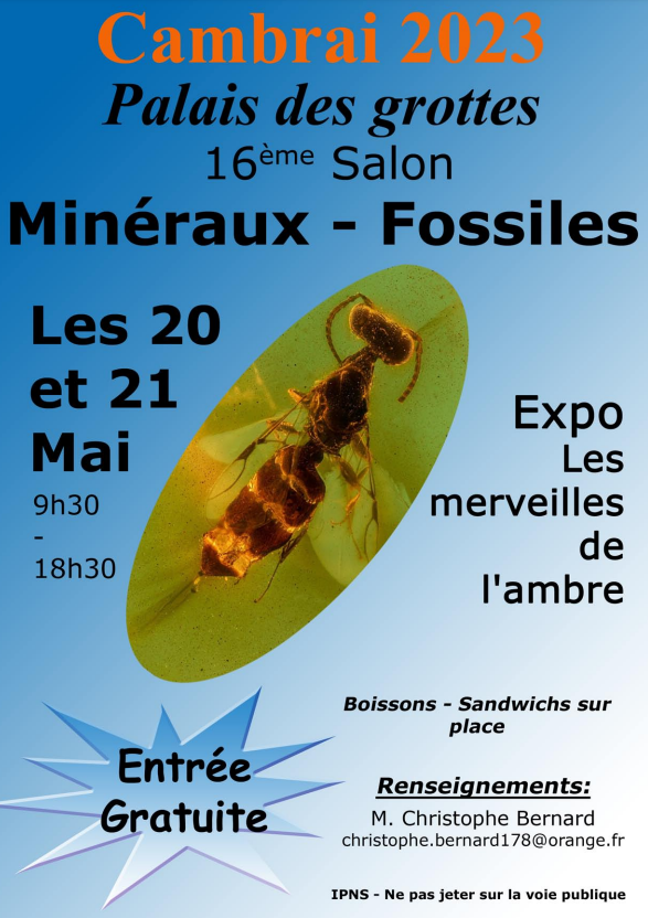 17 ème salon des minéraux et fossiles de l'AGC. Entrée gratuite de 9h30 à 18h30.