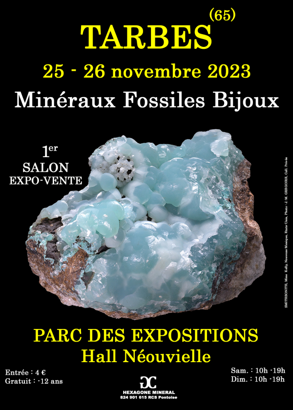 1er SALON MINERAUX FOSSILES BIJOUX