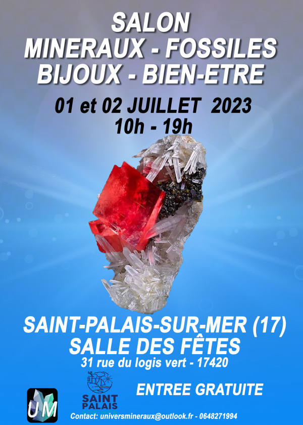 Salon minéraux, fossiles, bijoux de créateur et bien-être.