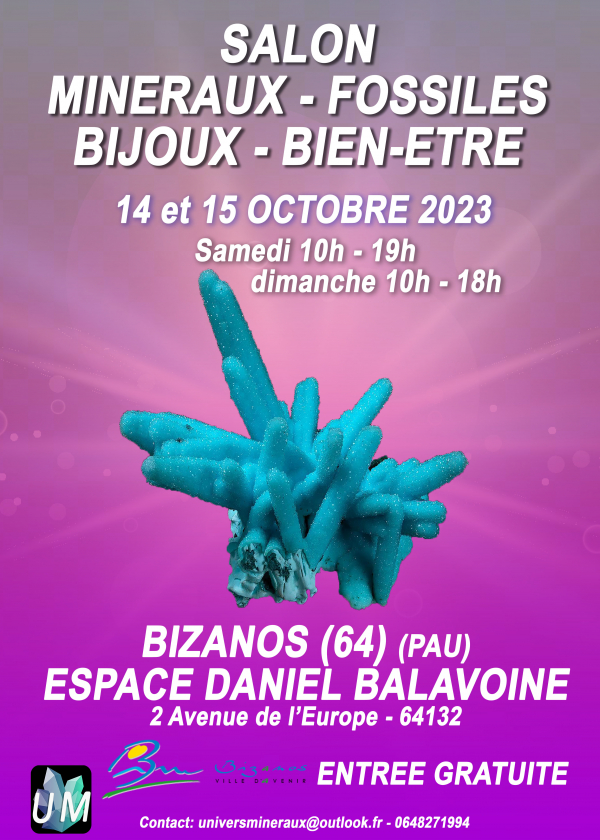 Salon minéraux, fossiles, bijoux de créateur et bien-être.