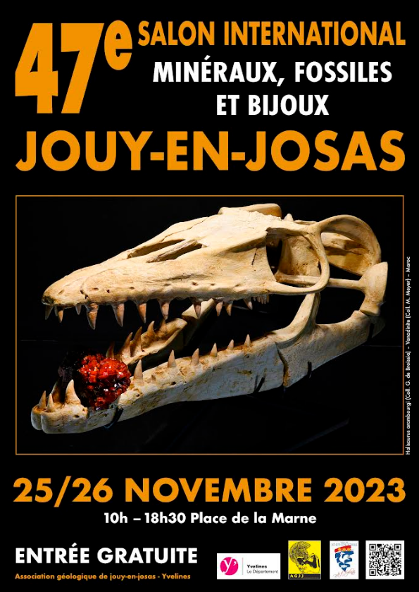 Salon international des mineraux, fossiles et bijoux