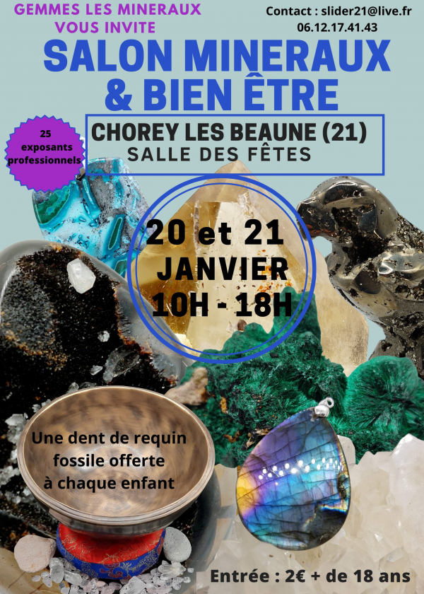 Salon Minéraux, fossiles, météorites et bien être