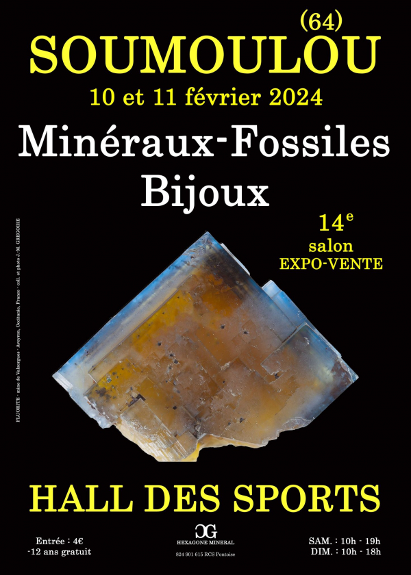14e Salon minéraux fossile bijoux