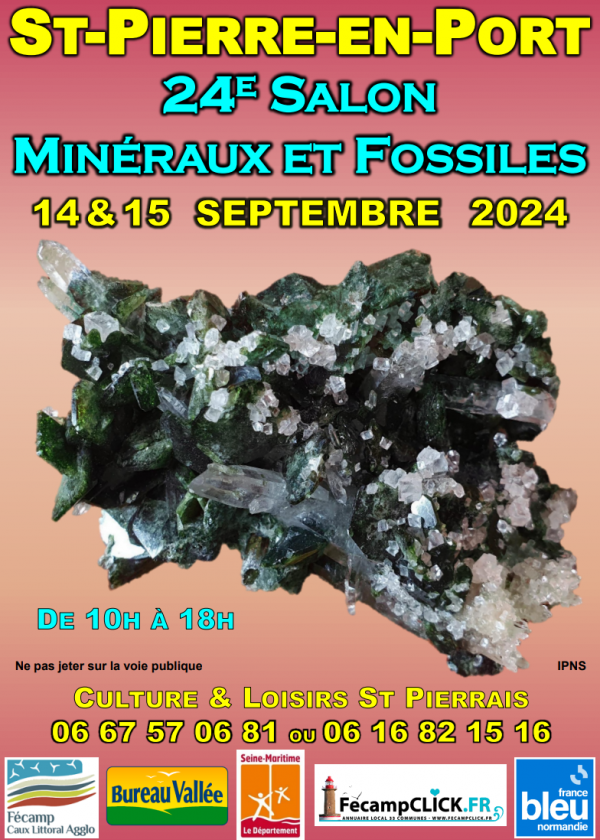 24 EME Bourse minéraux et fossiles de Saint Pierre en Port