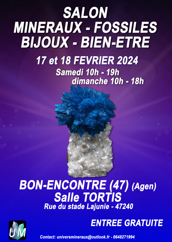 Salon minéraux, fossiles, bijoux de créateur et bien-être.