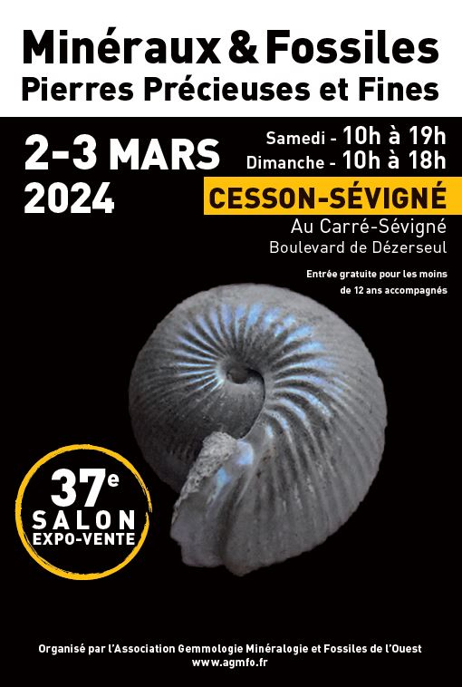 37ème salon de minéraux de l'AGMFO