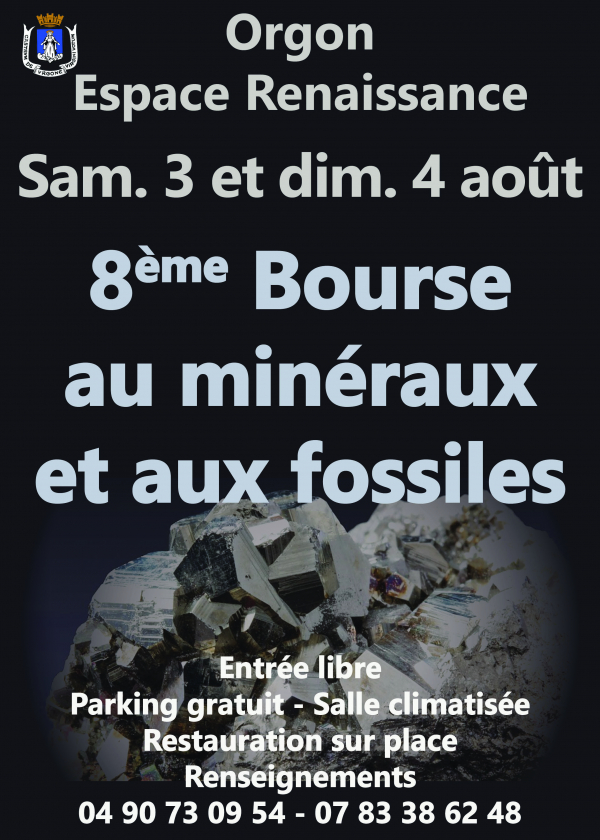 8éme bourse minéraux  fossiles bijoux