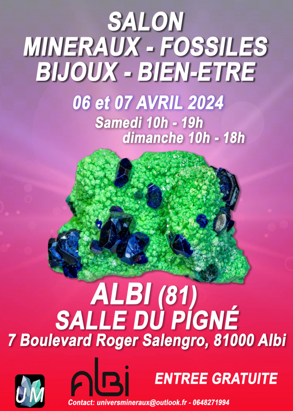 Salon minéraux, fossiles, bijoux de créateur et bien-être.