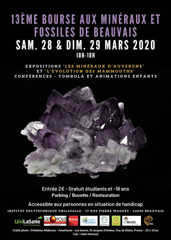 13ème bourse aux minéraux et fossiles