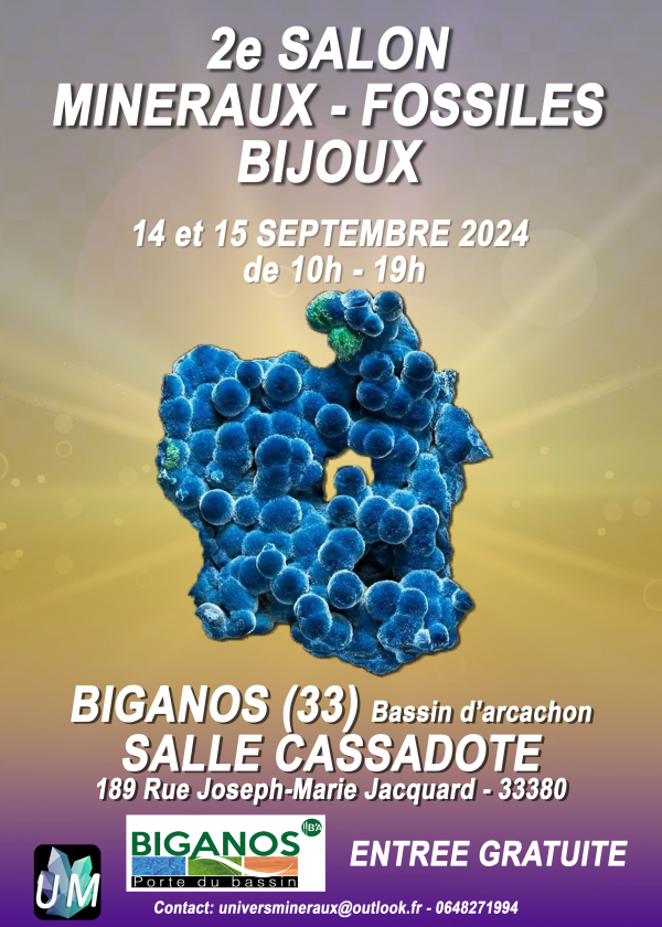 Salon Minéraux, Fossiles, Bijoux de créateur