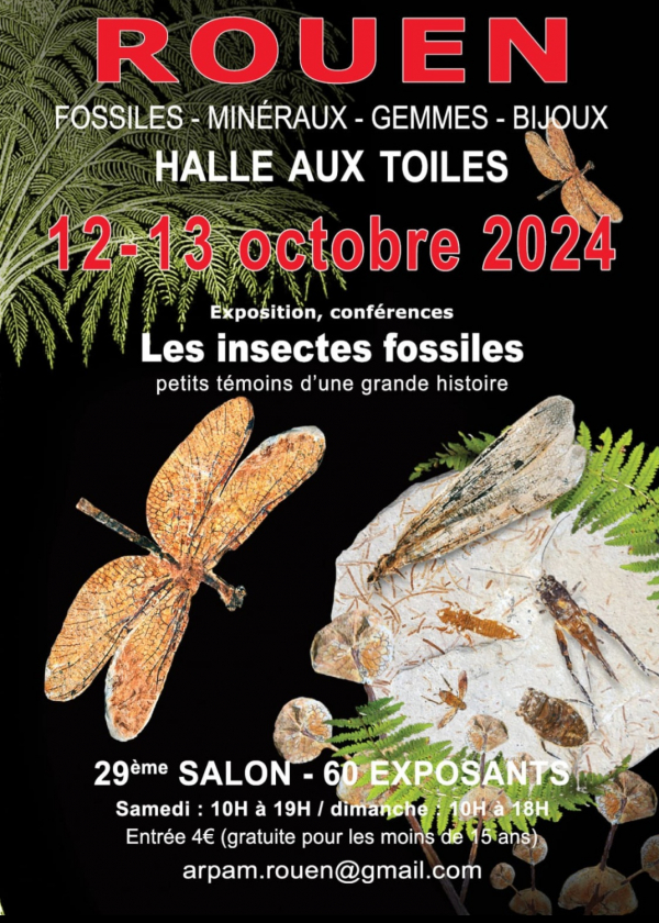 29éme Salon International de Rouen 2024