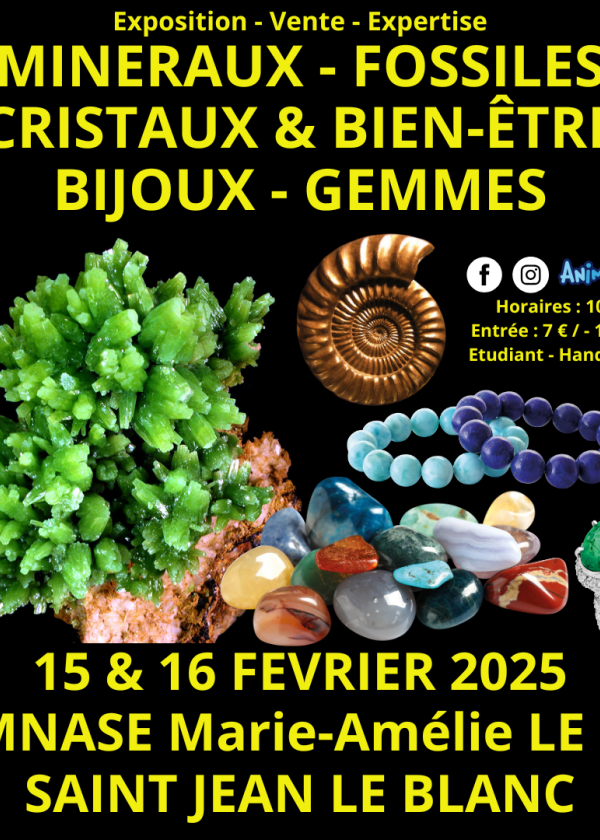 45ème Salon Minéraux Fossiles Cristaux & Bien-Être Bijoux et Gemmes