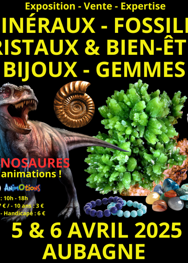 4ème Salon Minéraux Fossiles Cristaux Bien-Être Bijoux et Gemmes