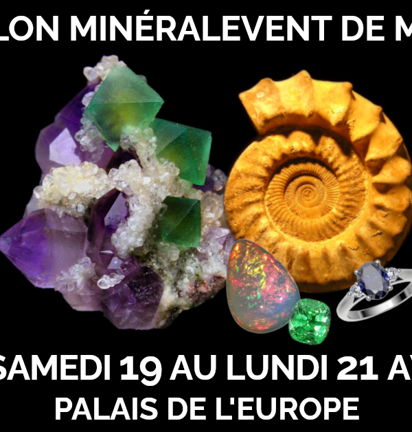 23ème Salon MinéralEvent de Menton