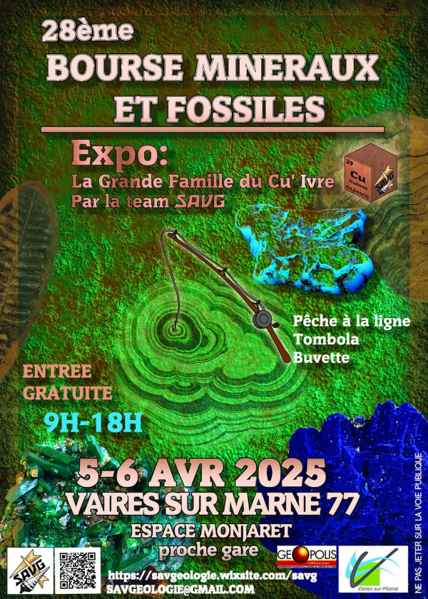28ème Bourse de minéraux et fossiles