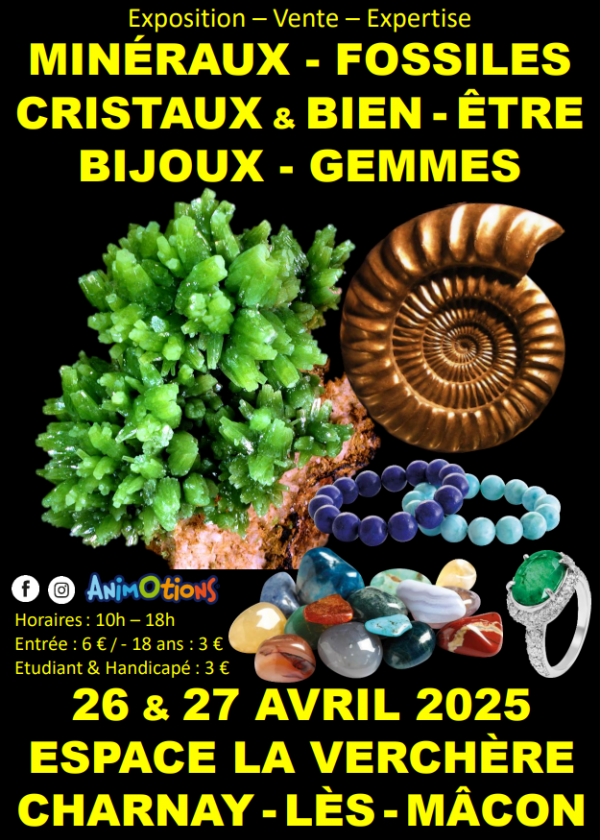 Salon Minéraux Fossiles Cristaux & Bien-Être Bijoux et Gemmes