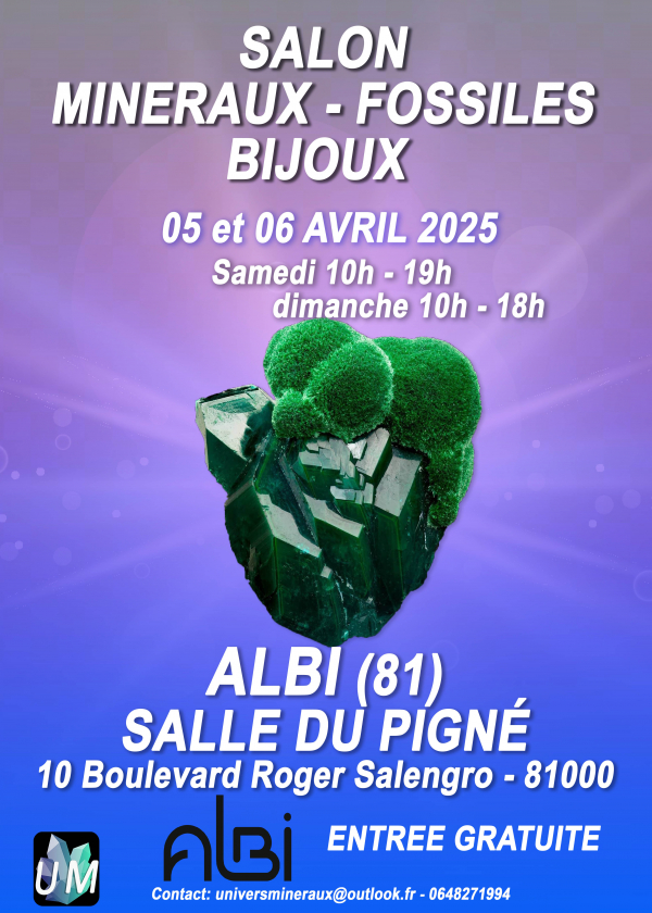 Salon minéraux, fossiles, bijoux de créateur.