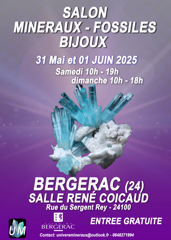 Salon minéraux, fossiles, bijoux de créateur.