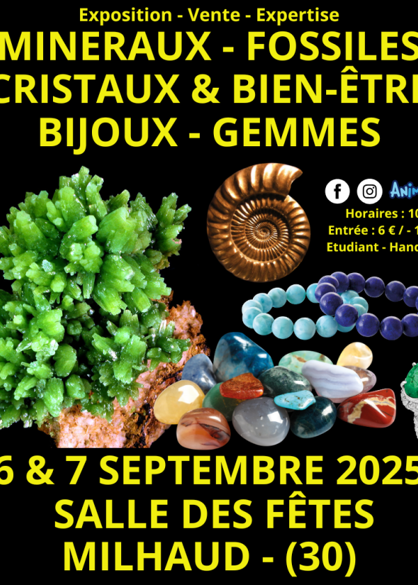 Salon Minéraux Fossiles Cristaux & Bien-Être Bijoux et Gemmes de Nîmes