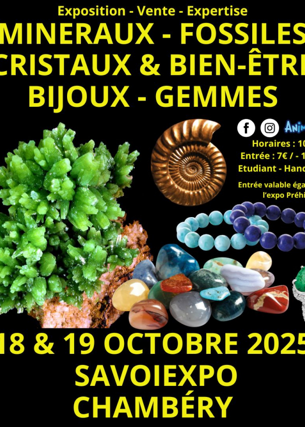 6ème Salon Minéraux Fossiles Cristaux Bien-Être Bijoux et Gemmes