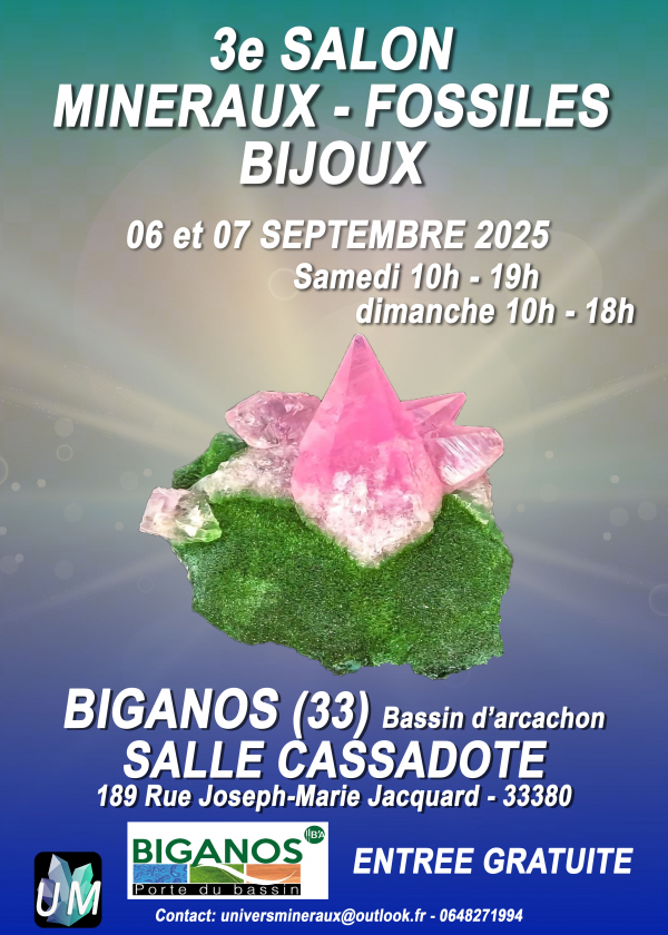 Salon minéraux, fossiles, bijoux de créateur.