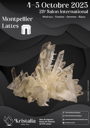 28ème Salon International de Minéralogie, Fossiles, Gemmes et Bijoux