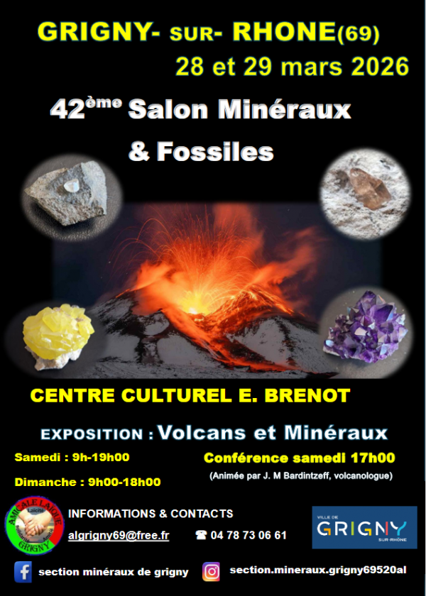 42 eme Salon Minéraux et Fossiles