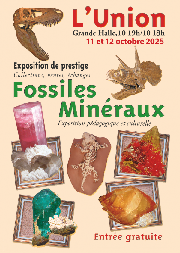 23e Salon des Minéraux et Fossiles de L'Union