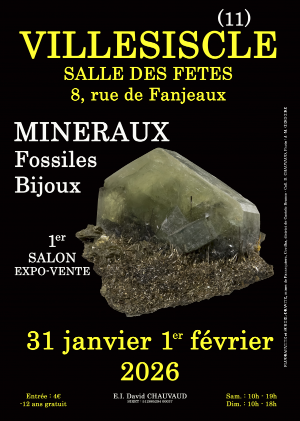 1er SALON MINERAUX FOSSILES BIJOUX