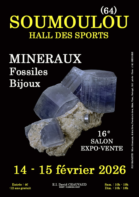 16e SALON MINERAUX FOSSILES BIJOUX