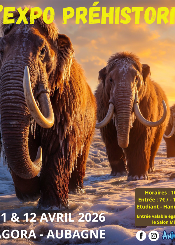 L'Expo Préhistoric