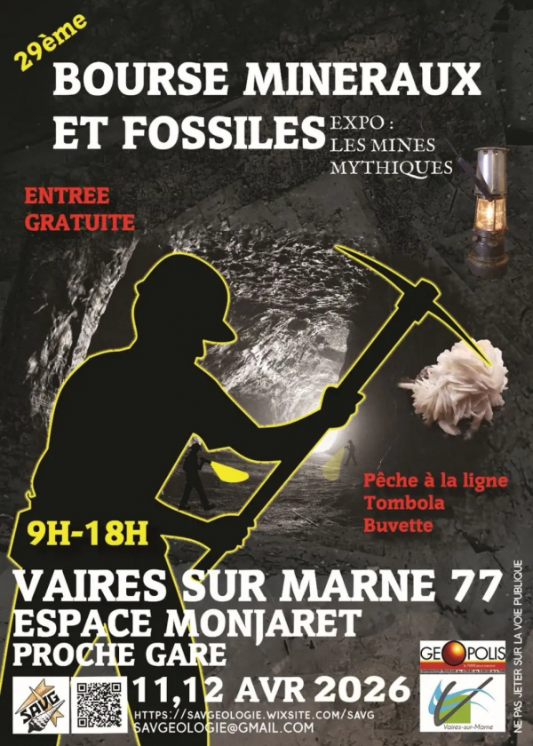 29ème Bourse de minéraux et fossiles
