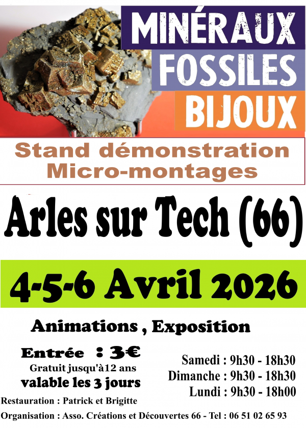 Salon des minéraux, fossiles et bijoux de Arles sur Tech
