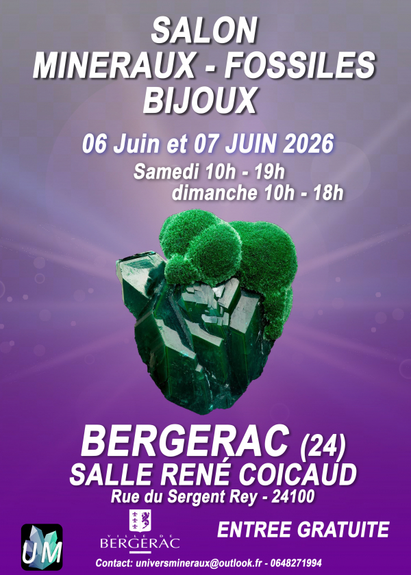 Salon minéraux, fossiles, bijoux de créateur.