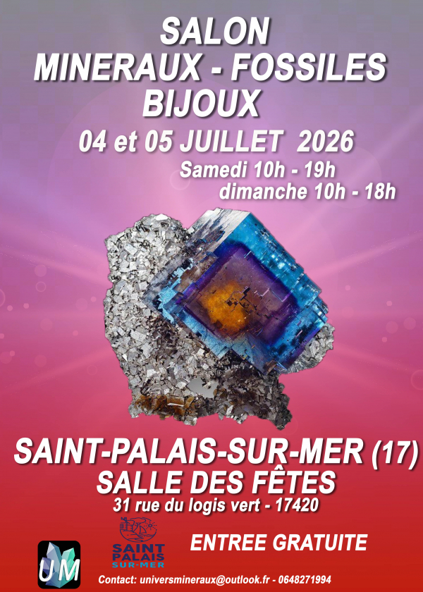 Salon minéraux, fossiles, bijoux de créateur.