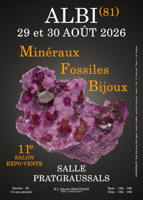 11e SALON MINERAUX FOSSILES BIJOUX