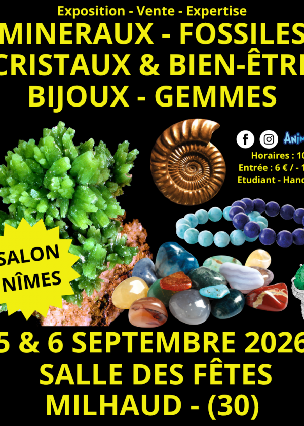 Salon Minéraux Fossiles Cristaux